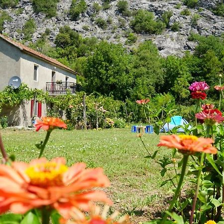 Hotel Camp Podkraj Virpazar Exteriér fotografie
